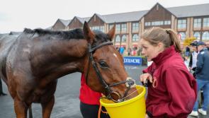 Mouse Morris trained French Dynamite showing top form to win in style 