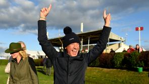 Breeders Cup turf betting hots up ahead of the big one 