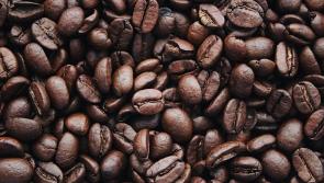 Fundraising coffee morning on Sunday for Tipp priest returning to South America