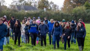 Taoiseach and Minister for Agriculture address young farmers and rural youth