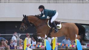 Irish showjumpers once more shining bright on the world stage 