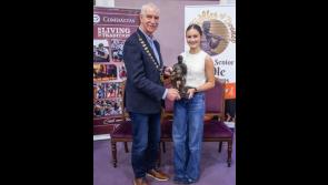 Tipperary girl wins prestigious Fiddler of Dooney fiddle Competition