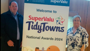 Tipperary towns win big at annual Tidy Towns Awards
