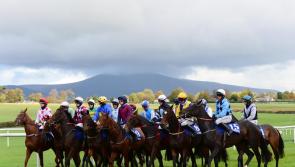 Clonmel Racecourse all set to host its biggest day of the year 
