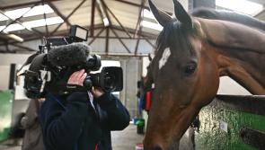 Runners declared for the big race this Saturday which looks wide open 