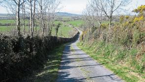Hedgerows will be discussed at historical society meeting in Tipperary