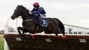 Tipperary jockeys and trainers clock up the wins in the racing world