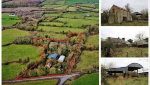 PICTURES: Tipperary farm with cottage and land with 'enormous potential' on sale for €110k