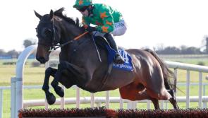 Tidy win for Mouse Morris and Darragh O'Keeffe with recent Fairyhouse double 