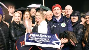 Historic success for Tipperary-based trainer in Irish Greyhound Derby final