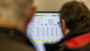 Tallies indicate that Fine Gael Mayor of Clonmel will win seat in Tipperary South