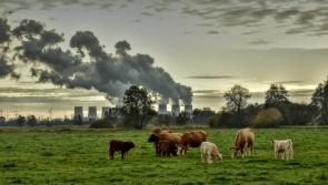 'Time to plan seriously' - State facing fines of up to €20bn for missing carbon targets