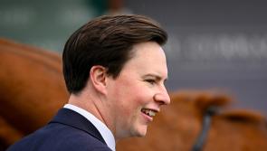 Tipperary trained Banbridge is best backed horse for the festive feature race this week 