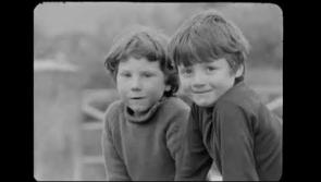 WATCH: A normal day in rural Tipperary way back in the summer of 1974!