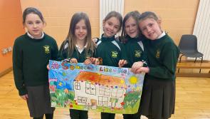 Local Tipperary primary schools named winners of national art competition