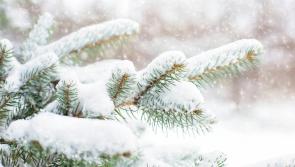 SNOW DAY: All schools in this Tipperary area set to stay closed on Monday 