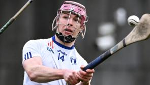 Three Tipp players featured in Mary Immaculate College's opening round  Fitzgibbon Cup win