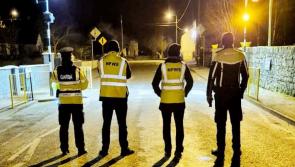 Tipperary gardaí and Wildlife Service unite to tackle illegal hunting in Premier County