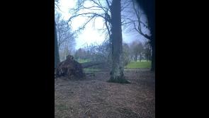 CARNAGE: Popular Tipperary sports club reveals big damage after Storm Éowyn 