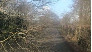 LIVE: List of the locations of fallen trees in Tipperary we know of so far 