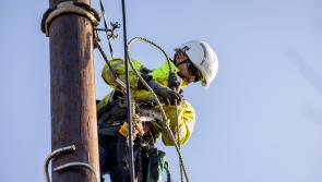 LATEST: Over 800 homes without power as a result of the storm  in the Cahir area