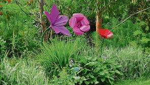 Garden Club meeting will be held in Tipperary