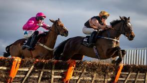 Another winner for Tipperary jockey Cian Quirke who shone at Down Royal 