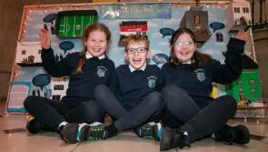 PICTURES: Local Tipperary primary school wins national art competition