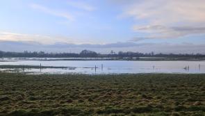 Tipperary residents enraged by proposed wind and battery farms