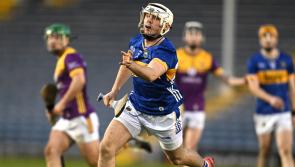 Tipperary Live player ratings - Tipperary vs Wexford in NHL - Round 2
