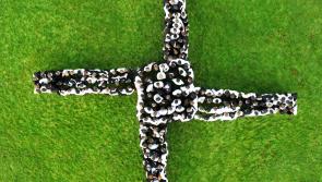Cistercian College students come together to celebrate St. Brigid's Day