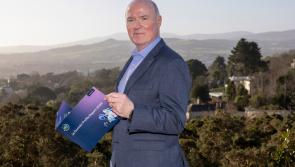 Tipperary records growth in domain registrations according to new report