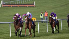 Novice hurdle is the feature race on the card at Clonmel Races