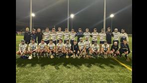 Darragh McCarthy and Tipp teammates help UL to retain their Freshers Championship title