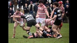 Nenagh Ormond succumb to strong and now promoted Old Belvedere in away trip to Dublin