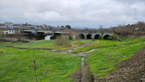 Project reducing pollution entering River Suir in Tipperary was shortlisted for national award