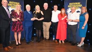 Tipperary well represented at the 2024 National Greyhound Racing Awards