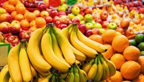 New workshop in Tipperary will help you minimise your food waste at home