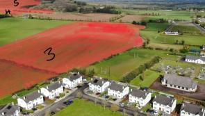 Planning permission for controversial Tipperary solar farm appealed to An Bord Pleanála