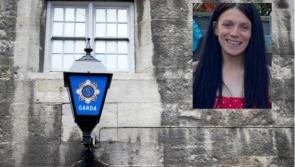 Search stood down for missing woman amid garda update