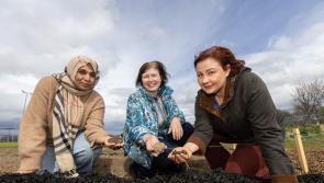 Farmers urged to get hands dirty with TUS soil researchers