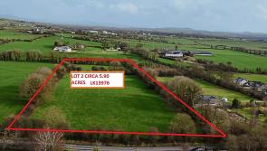Lands totalling &euro;4m sold in places including Bansha and Cappawhite in county Tipperary