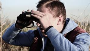 Spies in the village! Keep an eye out in this Tipperary area for dreaded Tidy Town judges 