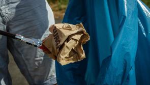 LATEST: Litter pick-up blitz in Tipperary community reveals one shocking detail...