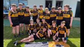 Brilliant finals see titles claimed by Clonakenny, Loughmore Castleiney, Boherlahan and Moycarkey