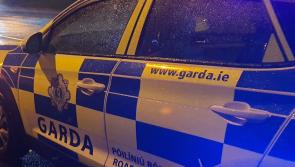 BREAKING: &euro;5,000 reward offered following incident in Tipperary 