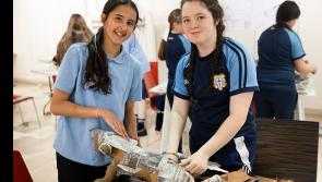 Another busy week for Tipperary students taking part in the 100 Dogs Project
