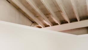 A golden When Next We Meet moment awaits at a unique Tipperary Music Festival