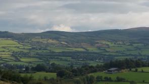 ALERT: Road closed overnight in Tipperary due to fallen tree and downed electricity cables