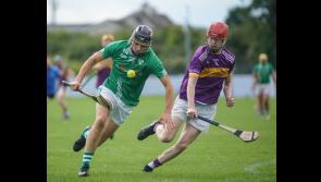 Borrisokane dole out harsh dose of reality to Newport to claim North hurling final place